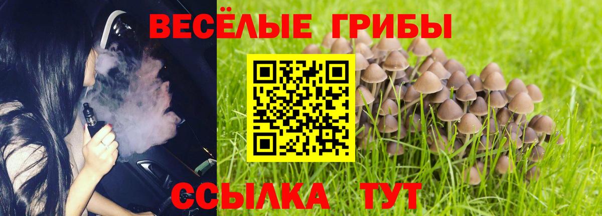 где купить наркоту  Вход с VPN  Дмитров  Галлюциногенные грибы ЛСД 